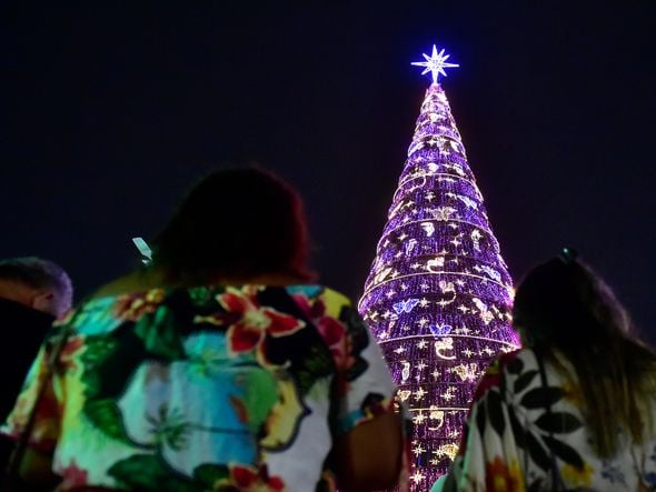 Data: 08/11/2019 - ES - Serra - Árvore de Natal no Parque d Cidade, na Serra - Editoria: Cidades - Foto: Fernando Madeira - GZ por Natal