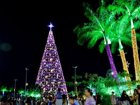 Data: 08/11/2019 - ES - Serra - Árvore de Natal no Parque d Cidade, na Serra - Editoria: Cidades - Foto: Fernando Madeira - GZ por Natal