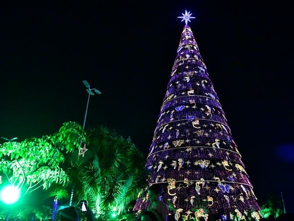 Data: 08/11/2019 - ES - Serra - Árvore de Natal no Parque d Cidade, na Serra - Editoria: Cidades - Foto: Fernando Madeira - GZ por Natal