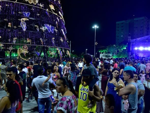 Data: 08/11/2019 - ES - Serra - Árvore de Natal no Parque d Cidade, na Serra - Editoria: Cidades - Foto: Fernando Madeira - GZ por Natal
