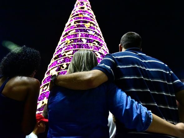 Data: 08/11/2019 - ES - Serra - Árvore de Natal no Parque d Cidade, na Serra - Editoria: Cidades - Foto: Fernando Madeira - GZ por Natal