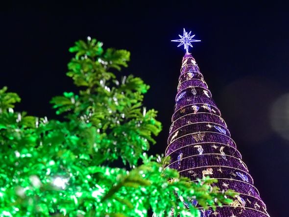 Data: 08/11/2019 - ES - Serra - Árvore de Natal no Parque d Cidade, na Serra - Editoria: Cidades - Foto: Fernando Madeira - GZ por Natal