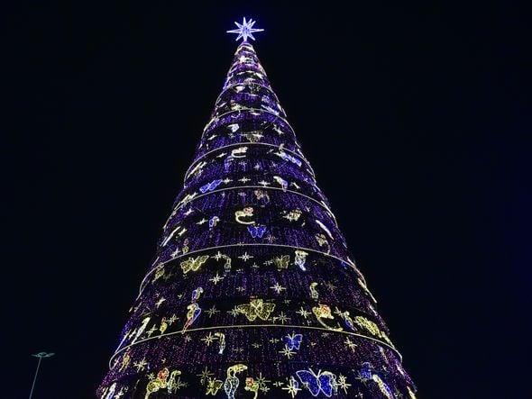 Data: 08/11/2019 - ES - Serra - Árvore de Natal no Parque d Cidade, na Serra - Editoria: Cidades - Foto: Fernando Madeira - GZ por Natal