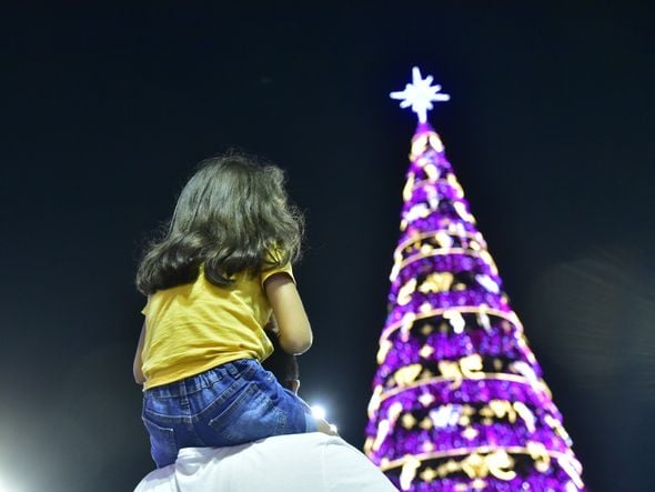 Data: 08/11/2019 - ES - Serra - Árvore de Natal no Parque d Cidade, na Serra - Editoria: Cidades - Foto: Fernando Madeira - GZ por Natal