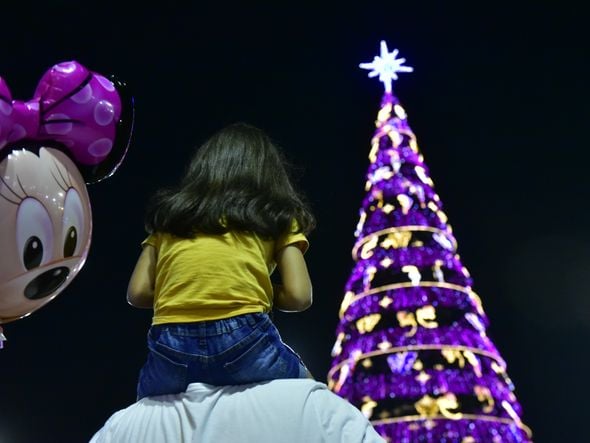 Data: 08/11/2019 - ES - Serra - Árvore de Natal no Parque d Cidade, na Serra - Editoria: Cidades - Foto: Fernando Madeira - GZ por Natal