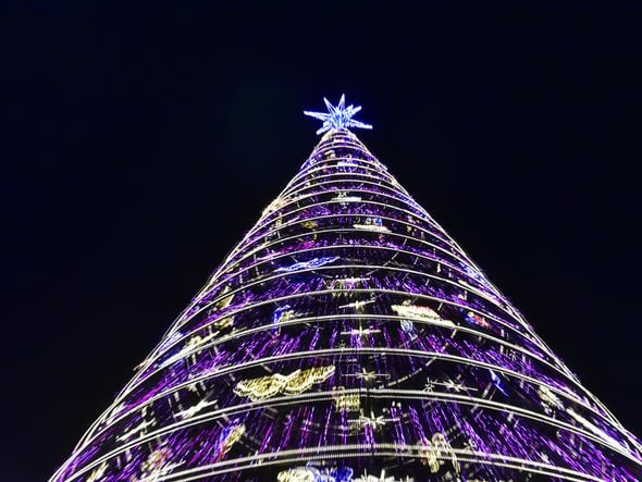 Data: 08/11/2019 - ES - Serra - Árvore de Natal no Parque d Cidade, na Serra - Editoria: Cidades - Foto: Fernando Madeira - GZ por Natal