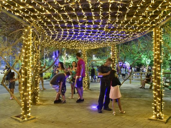 Data: 08/11/2019 - ES - Serra - Árvore de Natal no Parque d Cidade, na Serra - Editoria: Cidades - Foto: Fernando Madeira - GZ por Natal