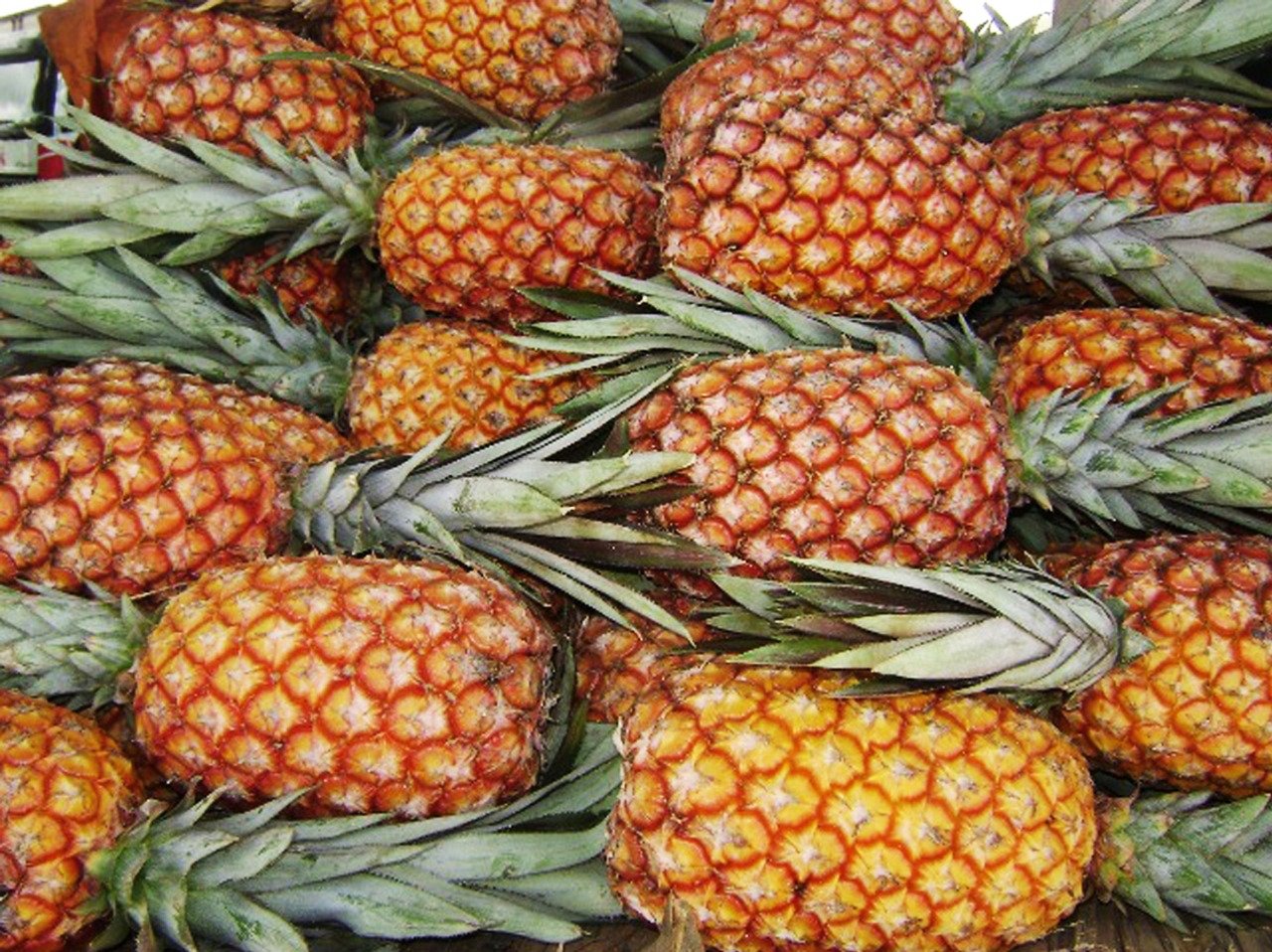 Setor de fruticultura do Espírito Santo se destaca por importantes produções, como mamão, banana, cacau e abacaxi