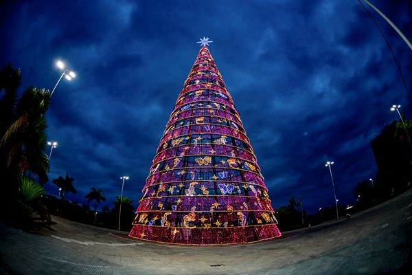 A Gazeta | Árvore de Natal Gigante é inaugurada na Serra