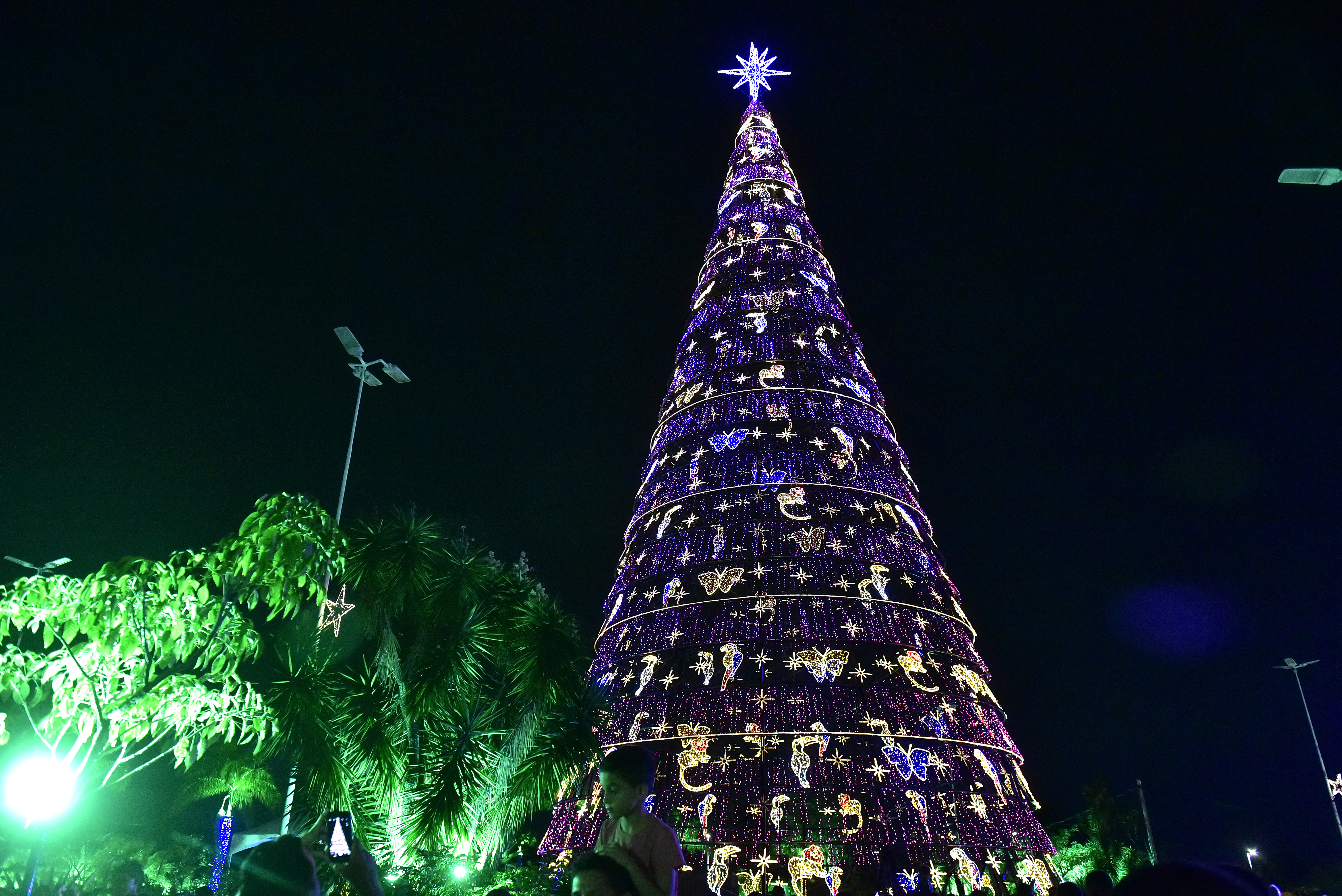 A Gazeta | Árvore de Natal Gigante é inaugurada na Serra A Gazeta | Árvore de Natal Gigante é inaugurada na Serra