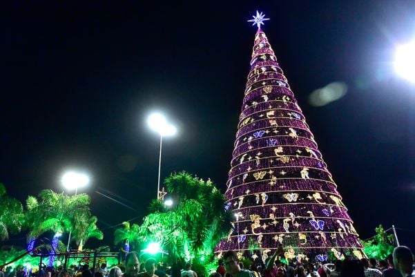 Data: 08/11/2019 - ES - Serra - Árvore de Natal no Parque d Cidade, na Serra - Editoria: Cidades - Foto: Fernando Madeira - GZ por Natal