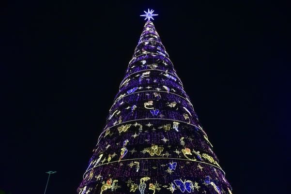 Data: 08/11/2019 - ES - Serra - Árvore de Natal no Parque d Cidade, na Serra - Editoria: Cidades - Foto: Fernando Madeira - GZ por Natal