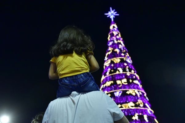 Data: 08/11/2019 - ES - Serra - Árvore de Natal no Parque d Cidade, na Serra - Editoria: Cidades - Foto: Fernando Madeira - GZ por Natal