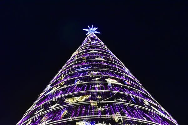 Data: 08/11/2019 - ES - Serra - Árvore de Natal no Parque d Cidade, na Serra - Editoria: Cidades - Foto: Fernando Madeira - GZ por Natal