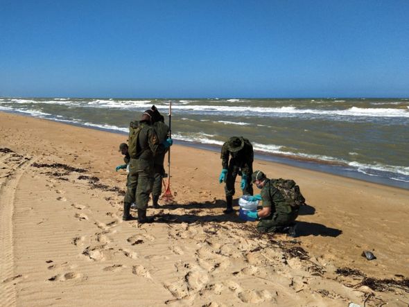 Análise de óleo na Praia de Barra Nova por Eduardo Dias