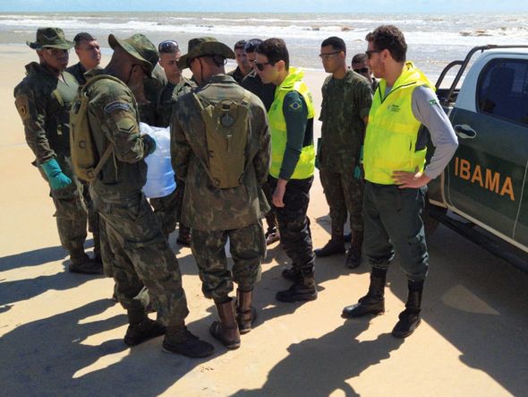 Militares da Marinha e do IBAMA fazendo verificação em trechos da praia por Eduardo Dias