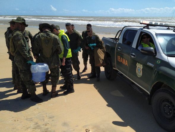 Militares da Marinha e do IBAMA fazendo verificação em trechos da praia por Eduardo Dias