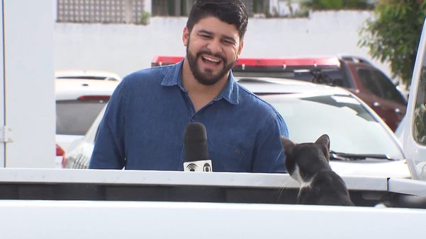 Vídeo de Artur Lira com o gatinho viralizou na web . Crédito: Instagram Artur Lira