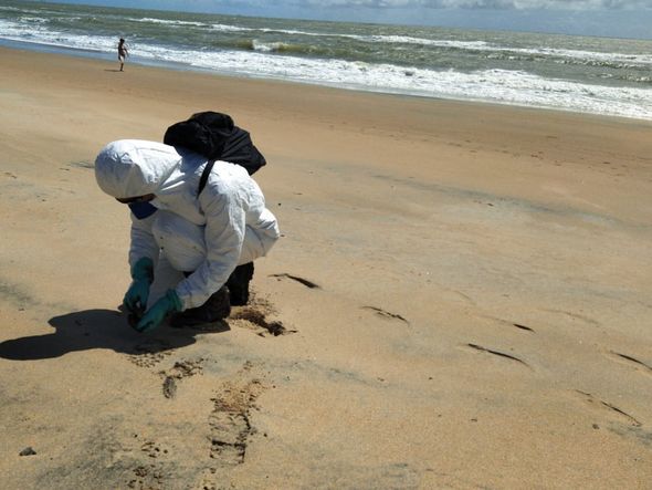 Militares recolhem fragmentos de óleo para análise em Pontal do Ipiranga, em Linhares por Eduardo Dias