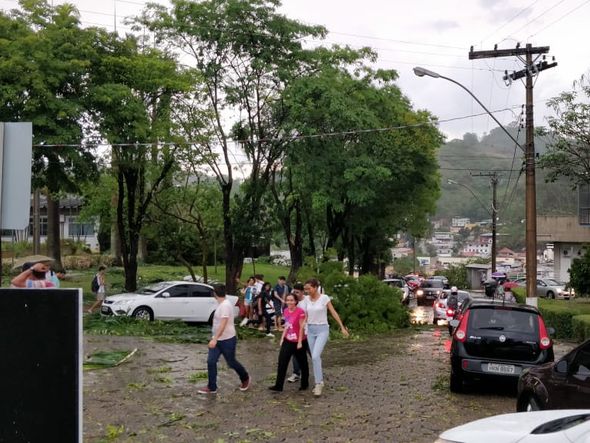 Chuva derruba árvores e danifica telhados na Ufes de Alegre  por Internauta | A Gazeta