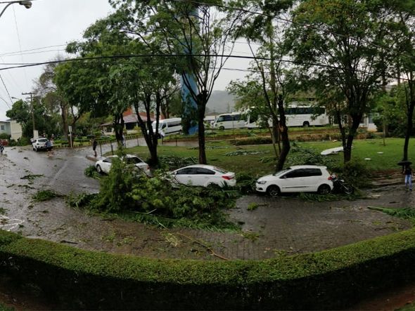 Chuva derruba árvores e danifica telhados na Ufes de Alegre  por Internauta | A Gazeta