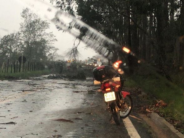 Estrada ficou obstruída em Alegre por Internauta