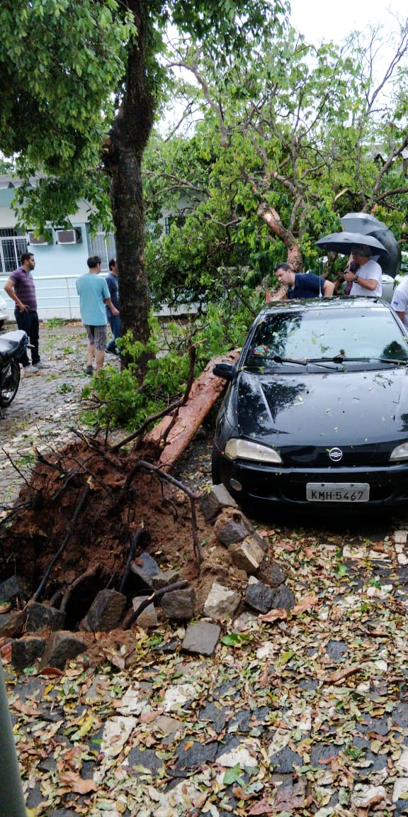 Chuva derruba árvores e danifica telhados na Ufes de Alegre  por Internauta | A Gazeta