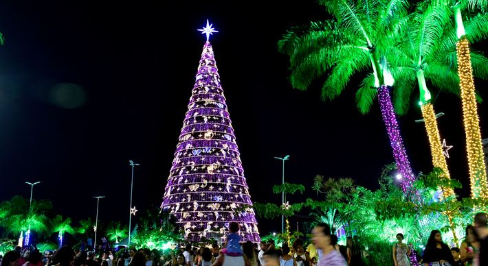 No ano passado, a estrutura foi considerada pela Prefeitura da Serra a terceira maior árvore de Natal do país, com 45 metros, 192 mil lâmpadas e pesando 21 toneladas