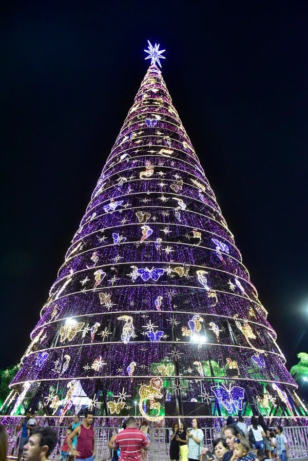 Data: 08/11/2019 - ES - Serra - Ãrvore de Natal no Parque da Cidade, na Serra - Editoria: Cidades  por Fernando Madeira