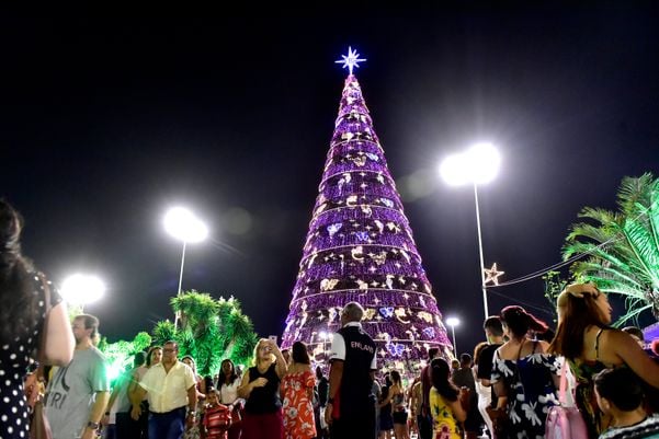 Data: 08/11/2019 - ES - Serra - Árvore de Natal no Parque da Cidade, na Serra - Editoria: Cidades por Fernando Madeira