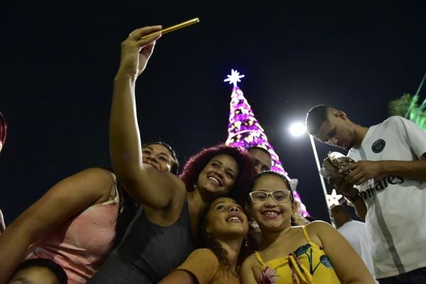 Data: 08/11/2019 - ES - Serra - Árvore de Natal no Parque da Cidade, na Serra - Editoria: Cidades por Fernando Madeira
