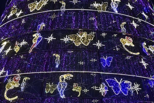 Data: 08/11/2019 - ES - Serra - Árvore de Natal no Parque da Cidade, na Serra - Editoria: Cidades por Fernando Madeira