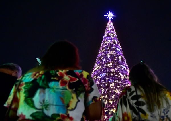 Data: 08/11/2019 - ES - Serra - Árvore de Natal no Parque da Cidade, na Serra - Editoria: Cidades por Fernando Madeira
