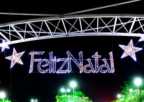 Data: 08/11/2019 - ES - Serra - Árvore de Natal no Parque da Cidade, na Serra - Editoria: Cidades por Fernando Madeira