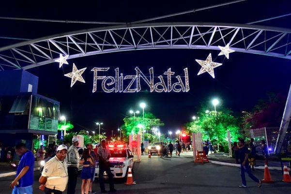 Data: 08/11/2019 - ES - Serra - Árvore de Natal no Parque da Cidade, na Serra - Editoria: Cidades por Fernando Madeira