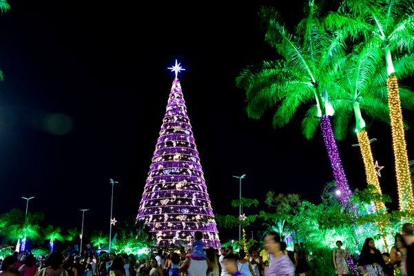A Gazeta | Árvore de Natal gigante do Parque da Cidade, na Serra, terá  apenas 23m