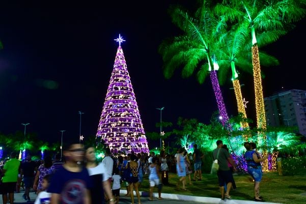 Data: 08/11/2019 - ES - Serra - Árvore de Natal no Parque da Cidade, na Serra - Editoria: Cidades por Fernando Madeira