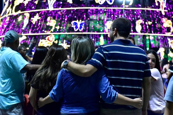 Data: 08/11/2019 - ES - Serra - Árvore de Natal no Parque da Cidade, na Serra - Editoria: Cidades por Fernando Madeira