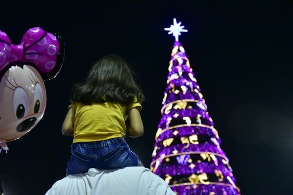 Data: 08/11/2019 - ES - Serra - Árvore de Natal no Parque da Cidade, na Serra - Editoria: Cidades por Fernando Madeira