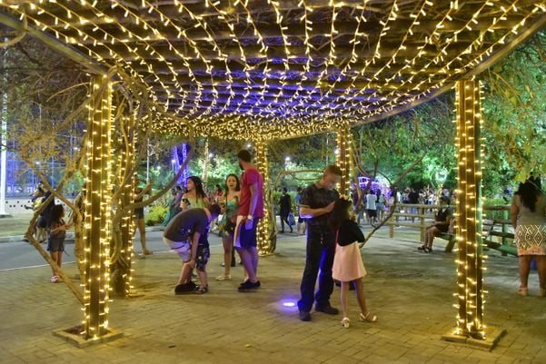 Data: 08/11/2019 - ES - Serra - Árvore de Natal no Parque da Cidade, na Serra - Editoria: Cidades por Fernando Madeira
