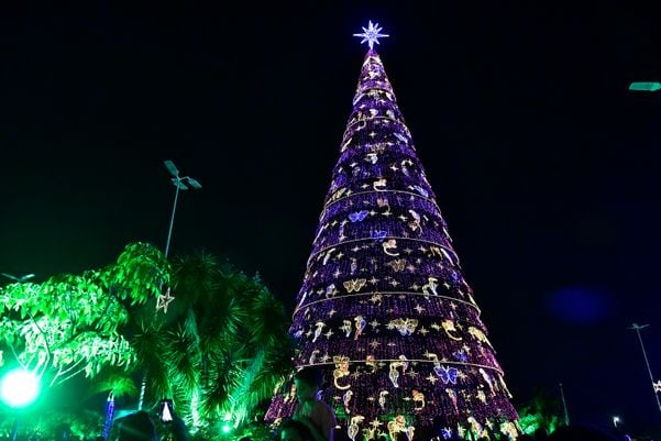 Data: 08/11/2019 - ES - Serra - Árvore de Natal no Parque da Cidade, na Serra - Editoria: Cidades por Fernando Madeira