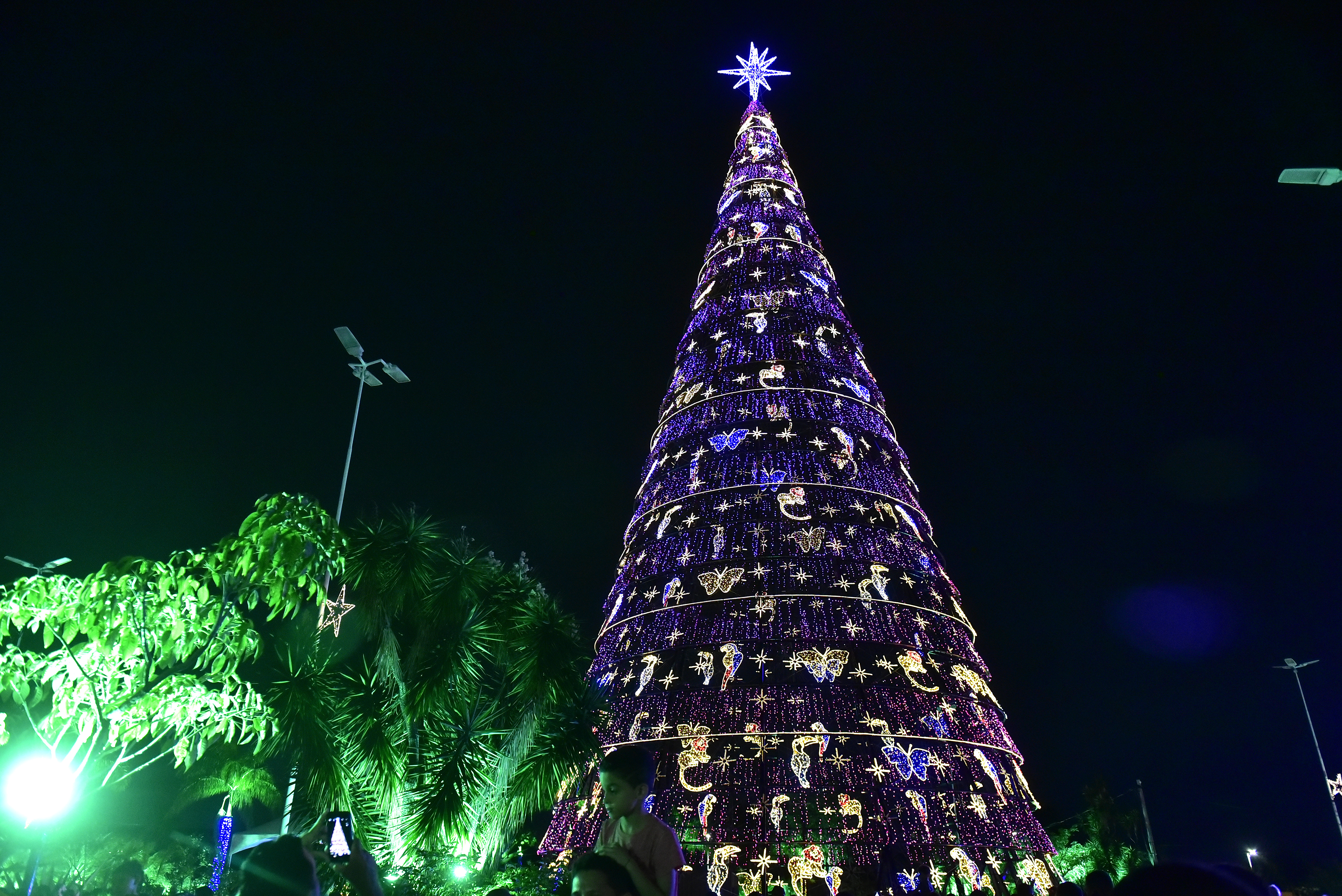 Data: 08/11/2019 - ES - Serra - Árvore de Natal no Parque da Cidade, na Serra - Editoria: Cidades