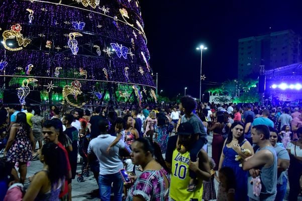 Data: 08/11/2019 - ES - Serra - Árvore de Natal no Parque da Cidade, na Serra - Editoria: Cidades por Fernando Madeira