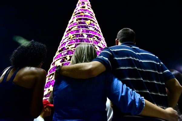 Data: 08/11/2019 - ES - Serra - Árvore de Natal no Parque da Cidade, na Serra - Editoria: Cidades por Fernando Madeira