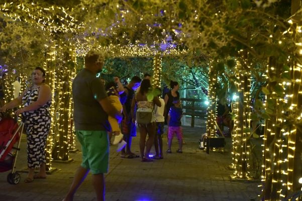 Data: 08/11/2019 - ES - Serra - Árvore de Natal no Parque da Cidade, na Serra - Editoria: Cidades por Fernando Madeira