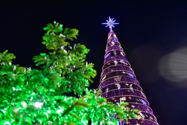 Data: 08/11/2019 - ES - Serra - Árvore de Natal no Parque da Cidade, na Serra - Editoria: Cidades por Fernando Madeira