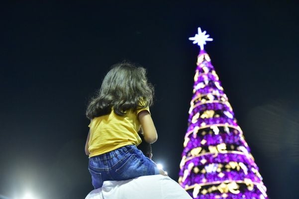 Data: 08/11/2019 - ES - Serra - Árvore de Natal no Parque da Cidade, na Serra - Editoria: Cidades por Fernando Madeira