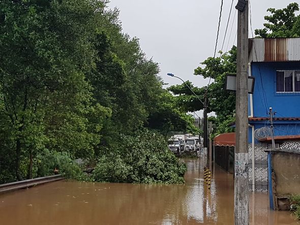 Caíram duas arvores na avenida Iracy Corteletti, na descida de Nova América por José Carlos Schaeffer
