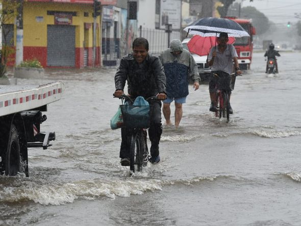 Cobilândia por Ricardo Medeiro