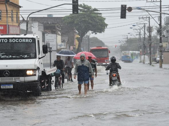 Cobilândia por Ricardo Medeiro